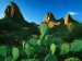 sunrise-light-on-prickly-pear-cacti-and-the-superstition-mountains--apache-trail--arizona