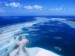 coral-reef--torres-strait-islands--australia