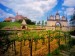 austrian-vineyard