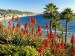 laguna-beach-landscape--california