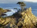 lone-cypress--pebble-beach--california