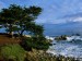 pacific-grove-coastline--california