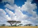 masai-mara-game-reserve--kenya