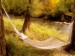 peaceful-hammock-near-a-stream--colorado