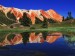 red-mountain-reflected-in-alpine-tarn-in-gary-cooper-gulch--ouray--colorado