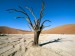 namib-naukluft-park--namib-desert--namibia--africa