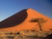 sand-dunes-and-acacia-tree--namib-desert--namibia