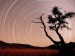 star-trails--namib-naukluft-park--namib-desert--namibia--africa
