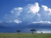 storm-over-the-savannah--masai-mara-national-reserve--kenya